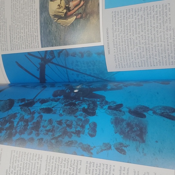 ATLAS of the OCEANS! - Picture 8 of 12